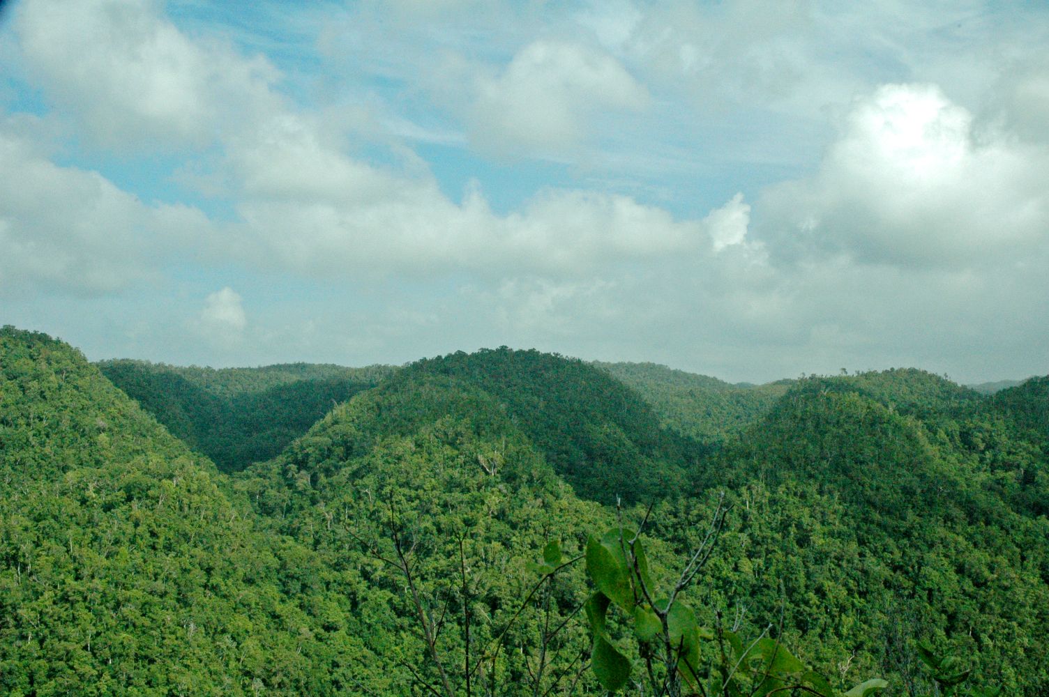blog image