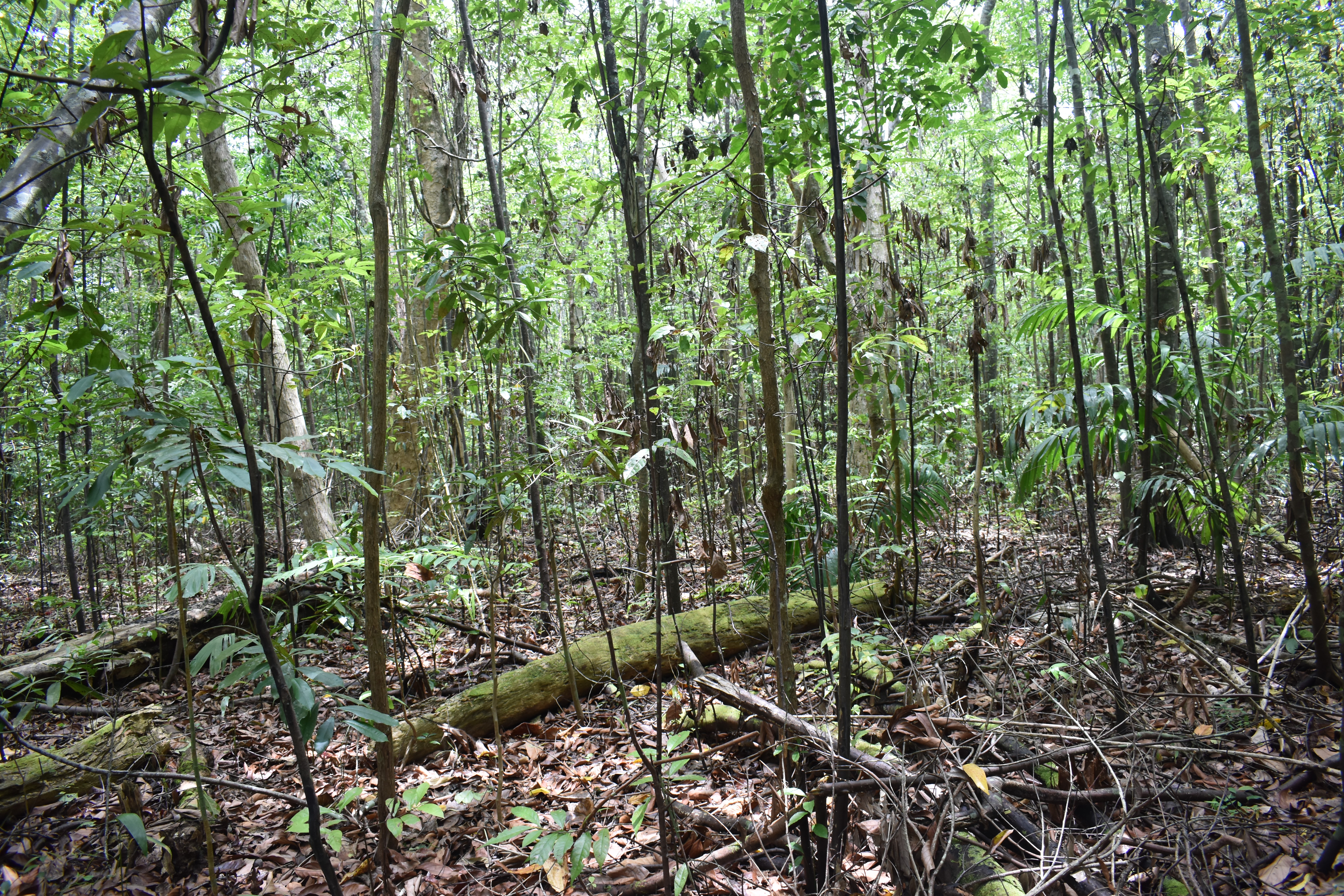 blog image
