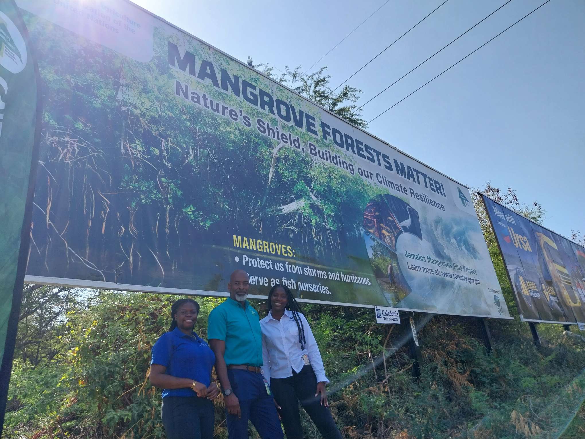 Billboard Unveiling 2024